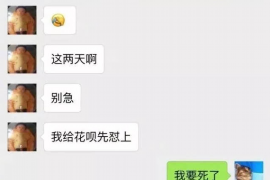 阳谷为什么选择专业追讨公司来处理您的债务纠纷？